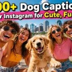 Dog Captions for Instagram for Cute, Funny